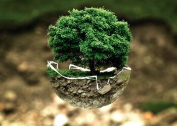 The Evolution of Environmental Protection in the International Context