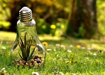 What is Carbon Dioxide?