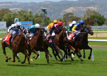 What Are The Top 5 Sportsbooks in 2023