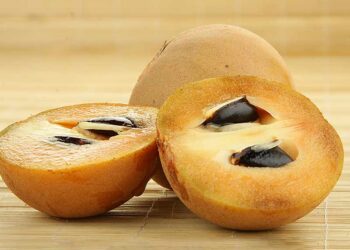 Chikoo Therapies Have Quite A Few Well-Being Advantages.