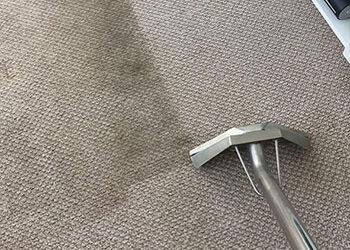 Cleaning up your carpet – a guide to professional carpet cleaning services