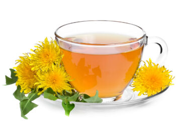 Dandelion