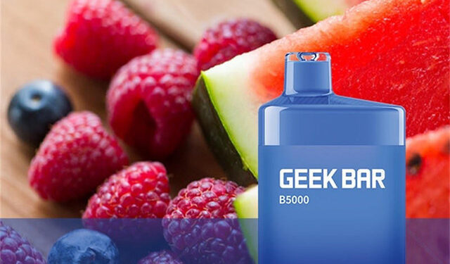 Geek Bar B5000 5% Nic Disposable 14ml 5000 Puffs