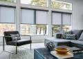 Maximizing Window Appeal with Double Roller Blinds A Complete Guide