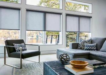 Maximizing Window Appeal with Double Roller Blinds A Complete Guide