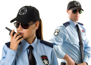 Guardians of Safety Unveiling the Alpha Security Experience