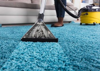 Revive Your Space the Transformative Power of Professional Carpet Cleaning