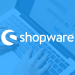 Choosing the Right Shopware Development Company for Your Online Store