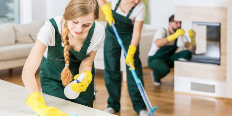 Elevate Your Living Space with Danny & Co's Exceptional Housekeeping Services