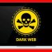 Blackpass: A Closer Look at the Underground World of Dark Web Dumps