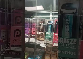 Exploring the Irresistible Flavors of Breeze Pro 2023: A Culinary Delight