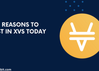 Top 5 Reasons to Invest in XVS Today