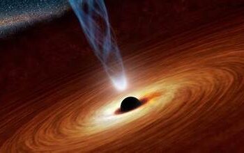 Black holes