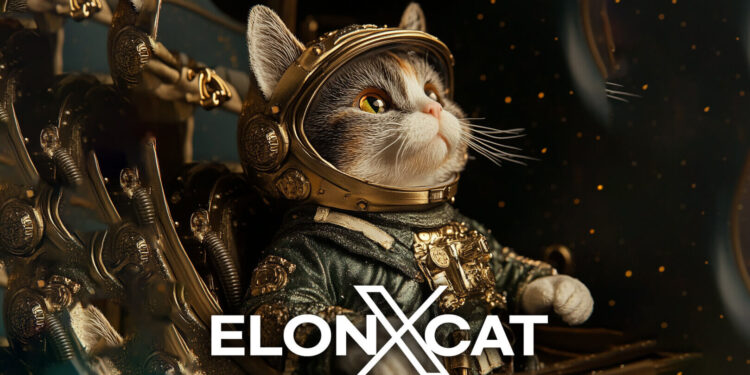 elonxcat