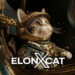 elonxcat