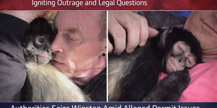 Viral TikTok Spider Monkey