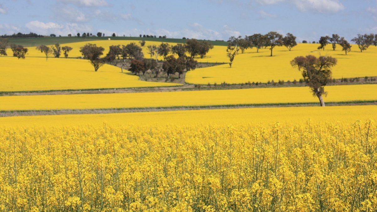 Australia's agriculture and food exports
