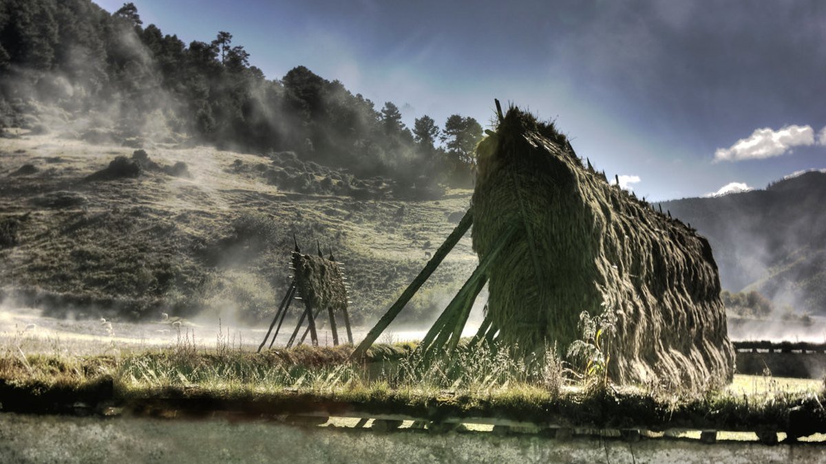 Understanding China's rural-urban divide