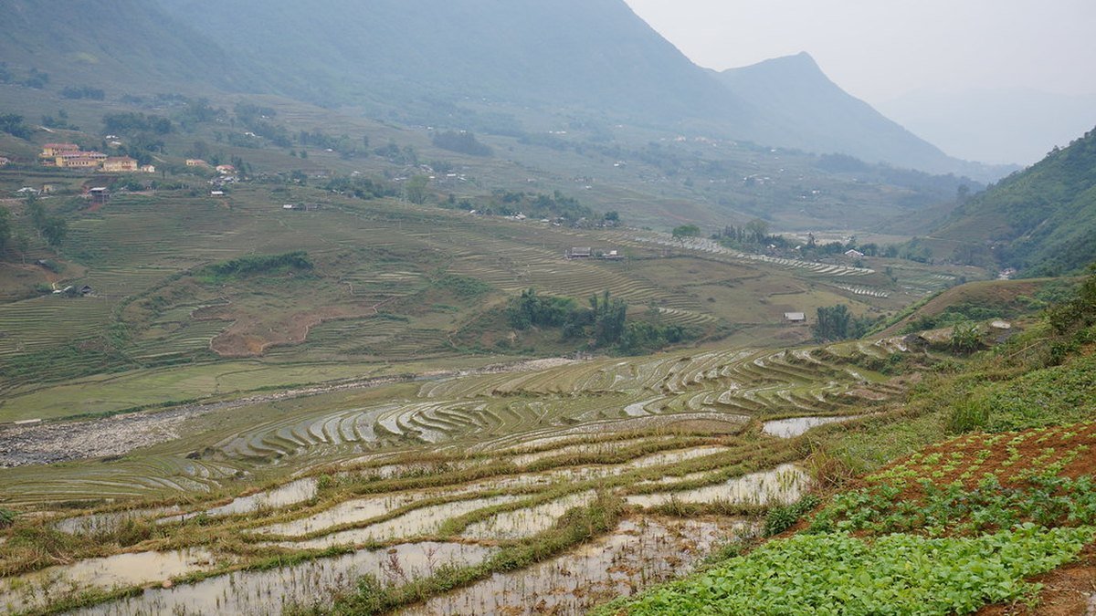 Vietnam's agriculture and exports: coffee, rice and more